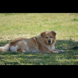 Meet your Posher, Heath